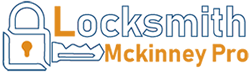 Professional Locksmith Logo